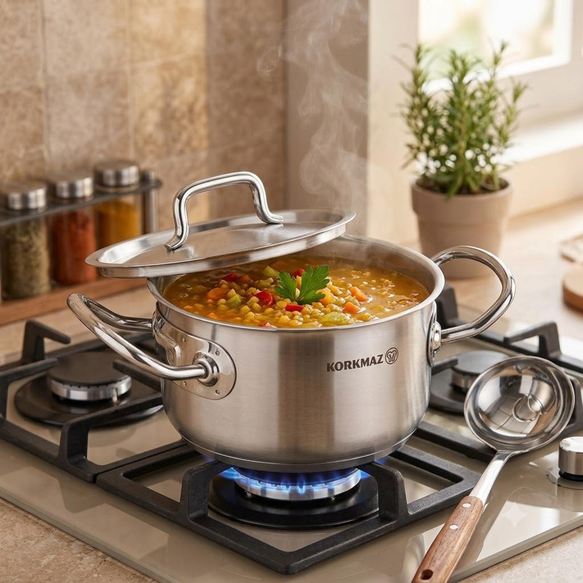 Korkmaz Proline Gastro Satin Stainless Steel Cooking Pot with Lid - Induction Compatible, Made In Turkey